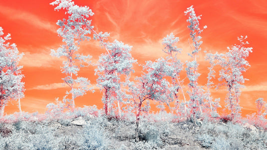 „Jutiminės fantastikos“ serijoje - nauji kvepalai!